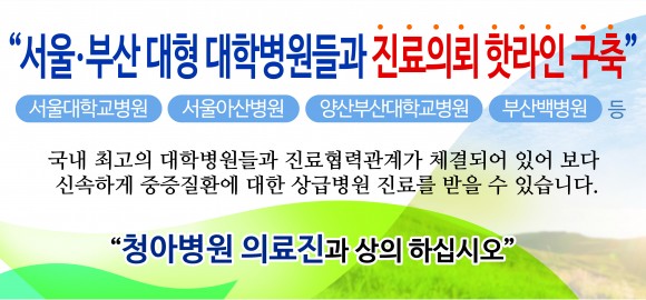 핫라인 구축